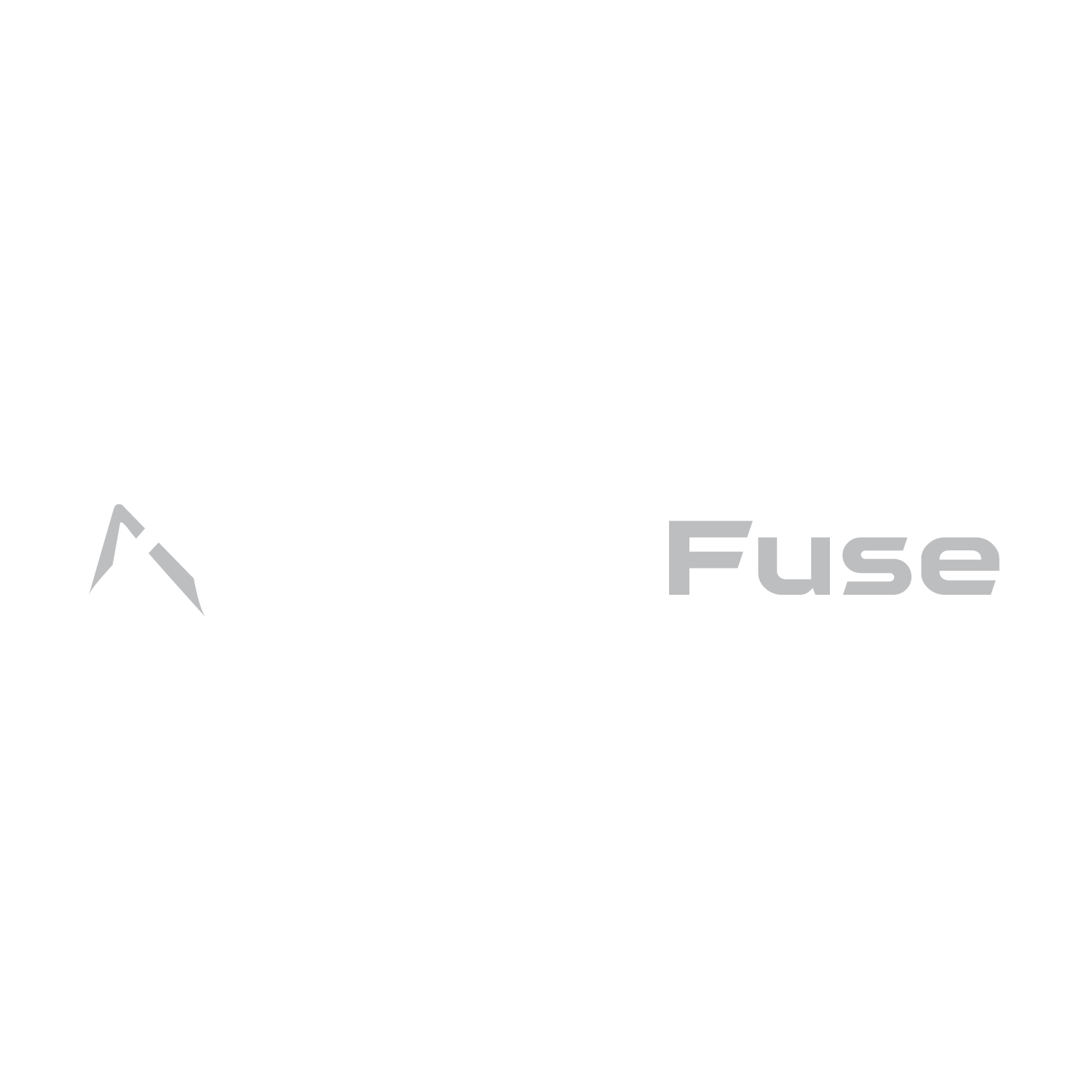 media fuse agency
